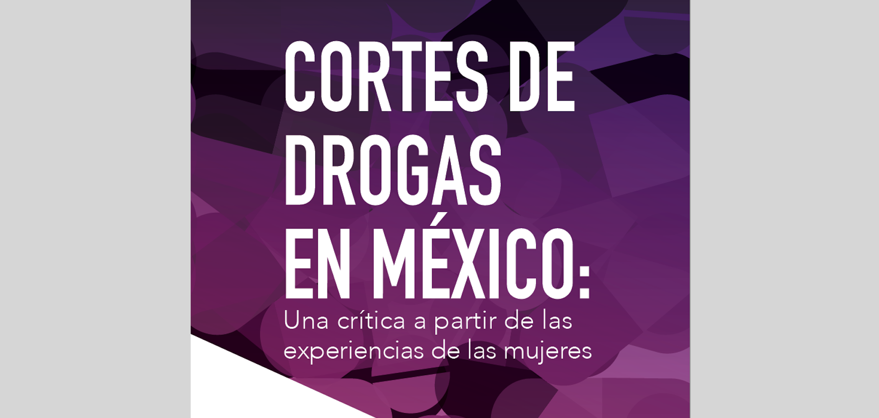 Lee más sobre el artículo Cortes de Drogas refuerzan  discriminación y la violencia contra las mujeres