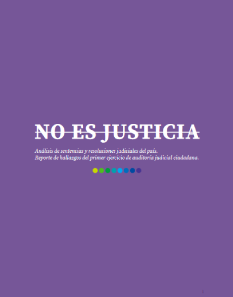 Lee más sobre el artículo NO ES JUSTICIA: Análisis de sentencias y resoluciones judiciales del país