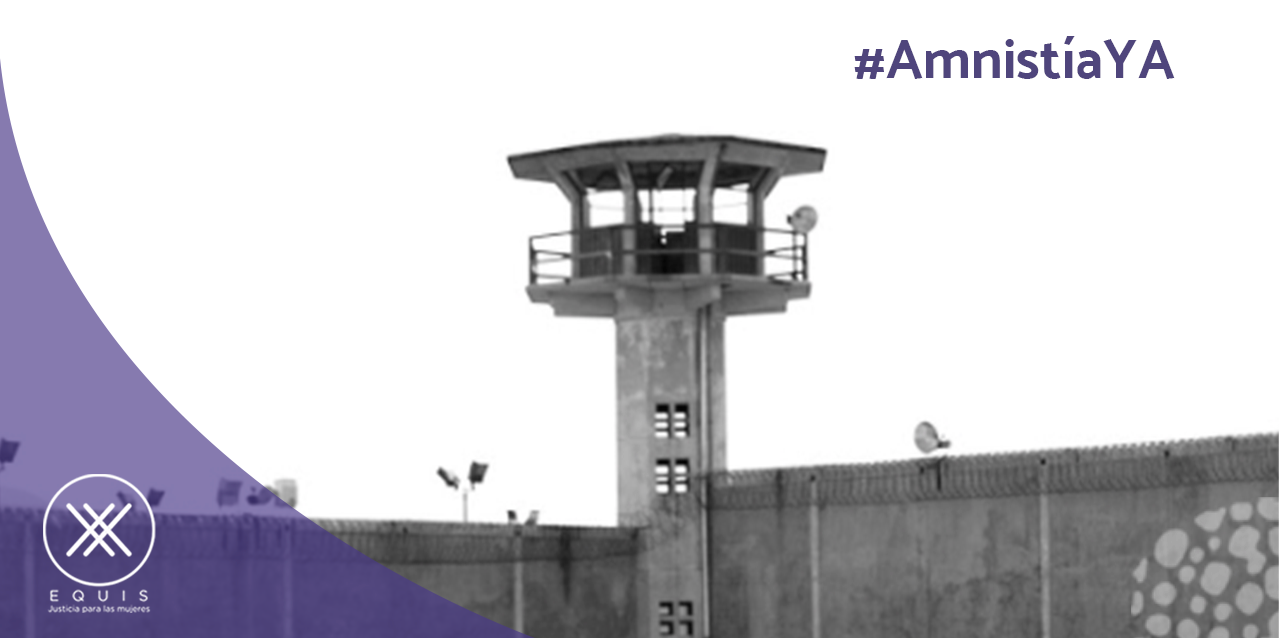 Lee más sobre el artículo Organizaciones de la sociedad civil exigen #AmnistíaYA