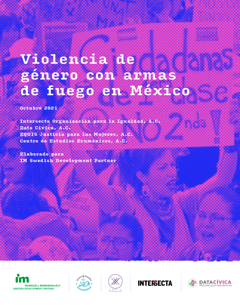 Lee más sobre el artículo Violencia de género con armas de fuego en México