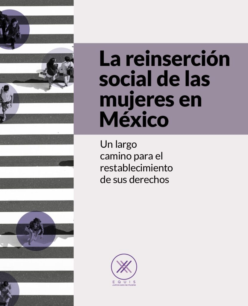 Lee más sobre el artículo La reinserción social de las mujeres en México