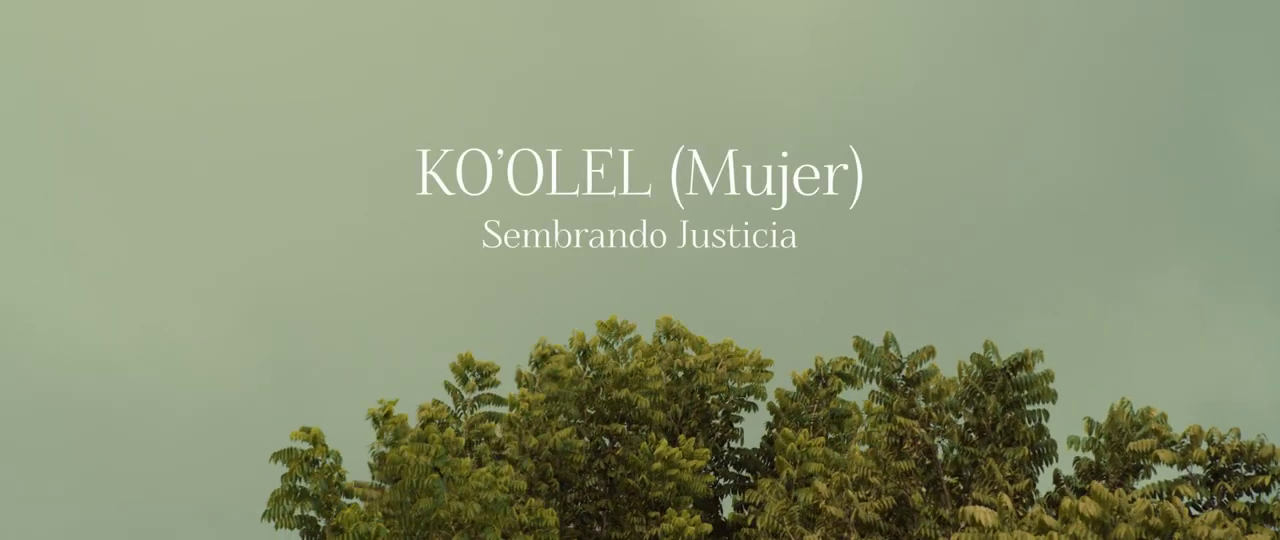 Ko'olel: Mujer sembrando justicia