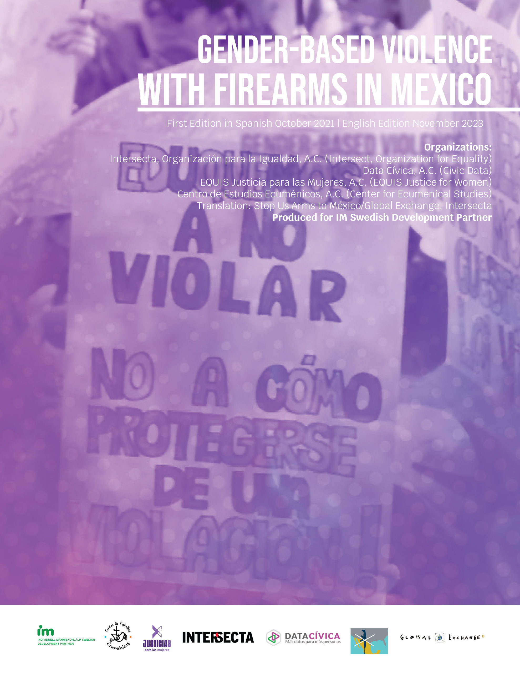 Lee más sobre el artículo Gender-based violence with firearms in Mexico